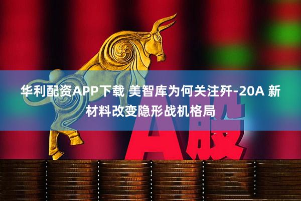 华利配资APP下载 美智库为何关注歼-20A 新材料改变隐形战机格局