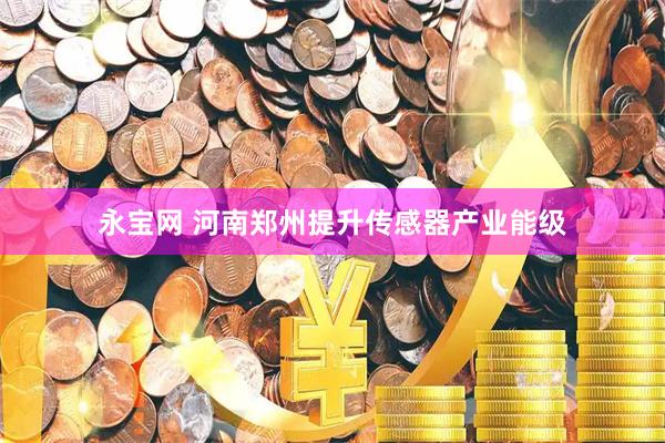 永宝网 河南郑州提升传感器产业能级